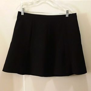 17" J. Crew Black Mini